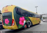 Cetur S.R.L. 955, por Leonardo Saturno