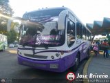 Unin Lnea Alberto Adriani C.A. 30 Comil Versatile Volkswagen 17.210 OD