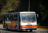 Transporte Unido (VAL - MCY - CCS - SFP) 007