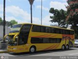 Transporte Clavellino 050