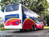 Expresos Occidente 075, por Alvin Rondn