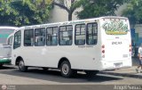 Organizacin Guaicamacuto 262