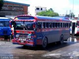 Transporte Colectivo Palo Negro 67