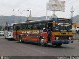 Transporte Bonanza 0036