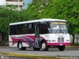 Transporte Virgen del Carmen 35