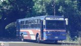 Colectivos Transporte Maracay C.A. 52