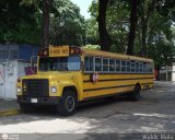 Universitarios y Escolares 61 Wayne Lifeguard International S-Series Schoolmaster