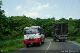 Unin de Conductores 87007 74, por Pablo Acevedo