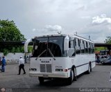L�nea Altagracia 60