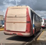 ZU - Colectivos Concepcin 023