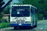 Autobuses de Tinaquillo 09 por Pablo Acevedo