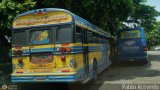 Expresos Juregui 102 Blue Bird TC2000 Blue Bird Diesel 01