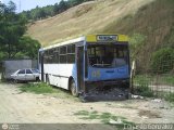 En Chiveras Abandonados Recuperacin 05