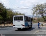 MI - A.C. Lnea La Rosa de Guatire 86