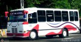 A.C. de Transporte La Raiza 005, por Pablo Acevedo