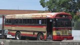 CA - A.C. Transporte y Servicios J.B.S.C.A. 31 por Andr�s Ascanio