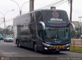 Allinbus (Per) 960