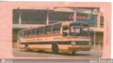 Pasajes Tickets y Boletos Expresos Los Llanos Boleto 03