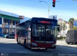 Trolmerida - Tromerca 5226
