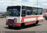 ZU - Los Claveles 66, por Angel Delgado