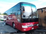 Los Pjaros de Lara 081, por Sebastin Mercado
