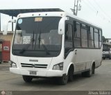 CA - Unin Conductores Big Low 22 Incarven IC-103 Chevrolet NPR Turbo Isuzu