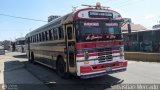 Expresos La Gran Colombia 37