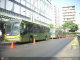 Metrobus Caracas 536