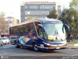 Buses Ahumada 475