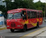 Colectivo Los Andes 17 Encava E-NT610 Extra-Largo Encava Isuzu Serie 600