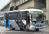 Empresa Peruana Pendiente 181