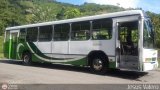 A.C. de Transporte Encarnacin 302