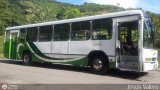 A.C. de Transporte Encarnacin 302