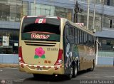 Transporte Flores Hermanos S.R.L (Per) 963,,, por Leonardo Saturno