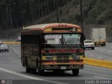 Transporte El Esfuerzo 20