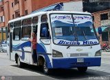 TA - Lnea Trans Romera 38, por Jerson Nova