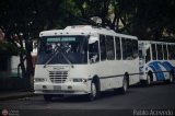 Colectivos El Viga 54