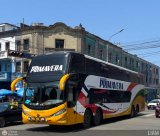 Transportes Primavera (Per) 955