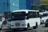 Asociacin Civil Lnea Unin Cordero 086