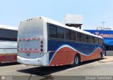 Expresos Pegamar 6103