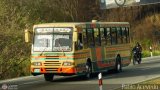 Transporte El Esfuerzo 14