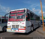 Transporte Guacara 2009, por Gerardo Rondn