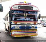 Colectivo San Rafael (El Mojn) 02, por El Niobuses