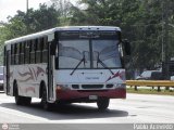 A.C. de Transporte Encarnacin 319