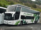 Expresos Flamingo 0183