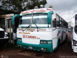 TA - Unin Transporte El Corozo S.A. 02