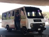 ZU - Colectivo Pomona