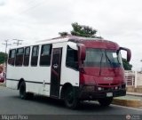 Particular o Transporte de Personal 146