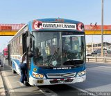 San Felipe Express S.A. 113 Modasa Titn 2012 Volkswagen 17.210 OD