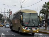 Transporte Flores Hermanos S.R.L 962 por Leonardo Saturno